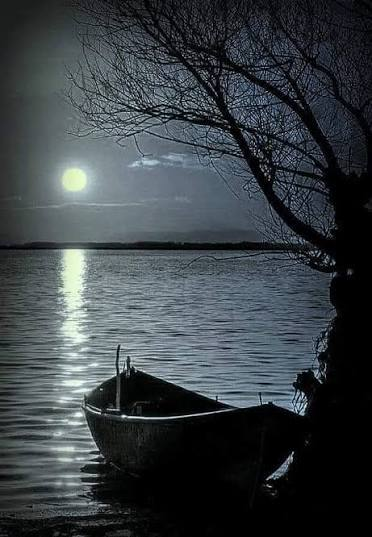 A serene black-and-white photo of a small wooden rowboat by the water's edge under the moonlight, with bare tree branches overhead.