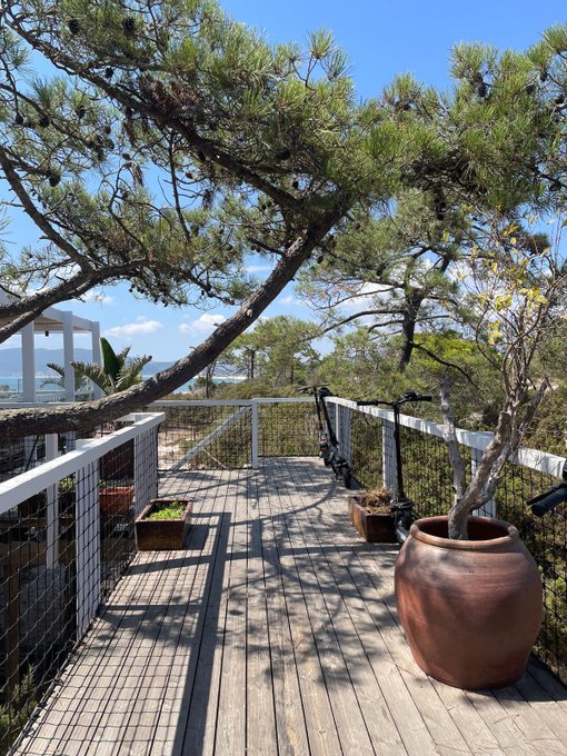 An elevated wooden deck surrounded by pine trees and greenery, featuring white railings with mesh netting, potted plants, a large terracotta pot, and an electric scooter parked in the background under a clear blue sky.
