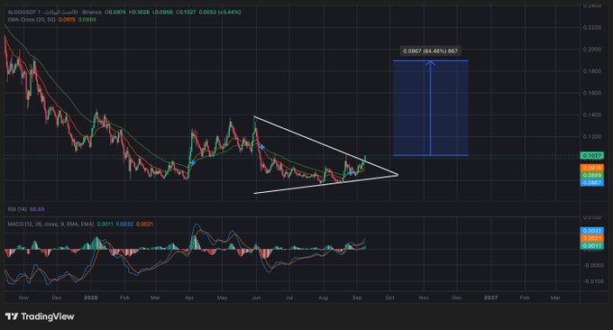 A TradingView chart of ALGO/USD shows a symmetrical triangle pattern with a projected upside target box of 84.55% to 0.1880, while a bullish MACD crossover near current price (0.1028) supports the posted trade setup of entry at 0.10, stop at 0.0855, and target at 0.1880.