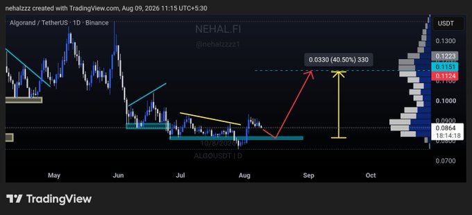 A TradingView candlestick chart for ALGO/USDT (1D, Binance) shows the price consolidating around key support at $0.080–$0.086 in May–August, with a technical projection labeling a breakout target of $0.115 (~$0.112–$0.115), highlighting an anticipated ~40% upside move — directly visualizing the post's bullish trade setup.