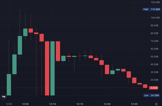 A candlestick chart tracks the collapse of a Hunter Biden-themed BASE memecoin, with the "High" tag marking its peak FDV at 110.86B and the current price displayed at 9.80B near the "Low" of 24.29M, visualizing the token's over 90% decline from peak to its current sub-$10B valuation.