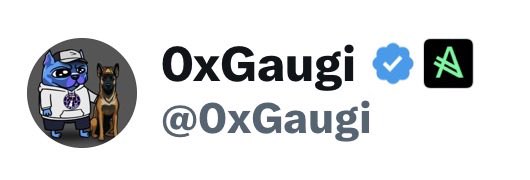 A Twitter/X profile for user "0xGaugi" (@0xGaugi) with a verified blue checkmark, featuring a profile picture of a cartoon cat next to a dog.