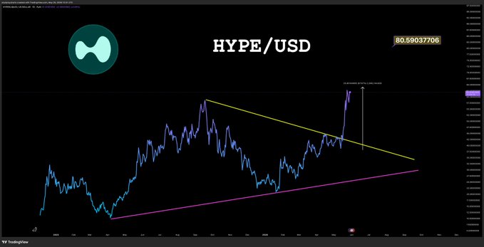 The image shows a graph or chart with the word "HYPE" written over it, along with an "usd" symbol. The graph indicates that the cryptocurrency "HYPE/USD" has been rising recently, possibly reaching its peak price. This information could be relevant to the post about the cryptocurrency gaining popularity and being ready for investors.