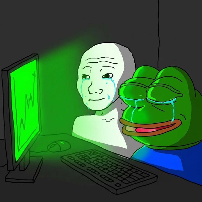 A digital drawing of the 'Wojak' and 'Pepe the Frog' meme characters crying together while staring at a green computer screen displaying a declining line graph.