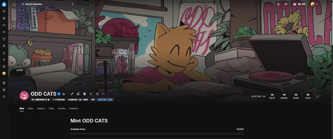 The image shows an OpenSea NFT collection page for "ODD CATS" by "odd_cats," featuring a cartoon orange cat lounging on a couch in a vibrant, graffiti-style room. The page displays a "Mint ODD CATS" button, and the post's mention of "Minting on OpenSea" directly aligns with this listing's prominent mint button and verified status.