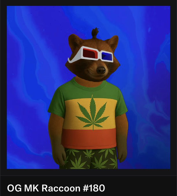 An NFT-style illustration labeled 'OG MK Raccoon #180' depicting a raccoon wearing 3D glasses and a Rastafarian-colored shirt with a cannabis leaf design.