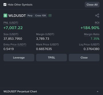 The image displays a screenshot from a trading platform that showcases the daily closing positions of various symbols such as WLDDUSDT and BSLDSBT. There are several transactions, with one symbol showing an increase of +74% in value over its previous day. A market price chart is also visible on the screen. In addition to this information, there is a list of recent trades posted by users, which suggests that the trading platform is being used for portfolio management and analysis purposes.