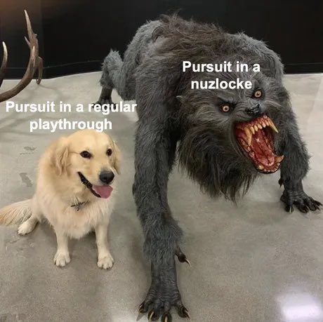 A humorous comparison meme shows a friendly golden retriever labeled "Pursuit in a regular playthrough" sitting next to a snarling werewolf-like creature labeled "Pursuit in a nuzlocke" game challenge.