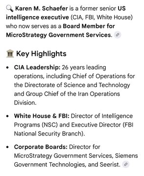 The image shows a LinkedIn-style profile snippet highlighting Karen M. Schaefer's background as a former senior CIA intelligence executive (26 years), White House and FBI director, and current Board Member for MicroStrategy Government Services, Siemens Government Technologies, and Seerist—reinforcing the post's claim about Saylor's intelligence community ties.