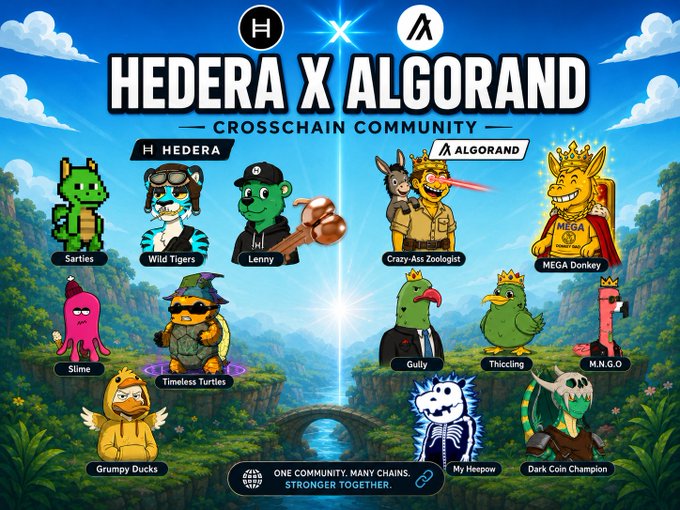 A vibrant promotional graphic titled 'HEDERA X ALGORAND CROSSCHAIN COMMUNITY' featuring various cartoon NFT characters from both Hedera and Algorand ecosystems.