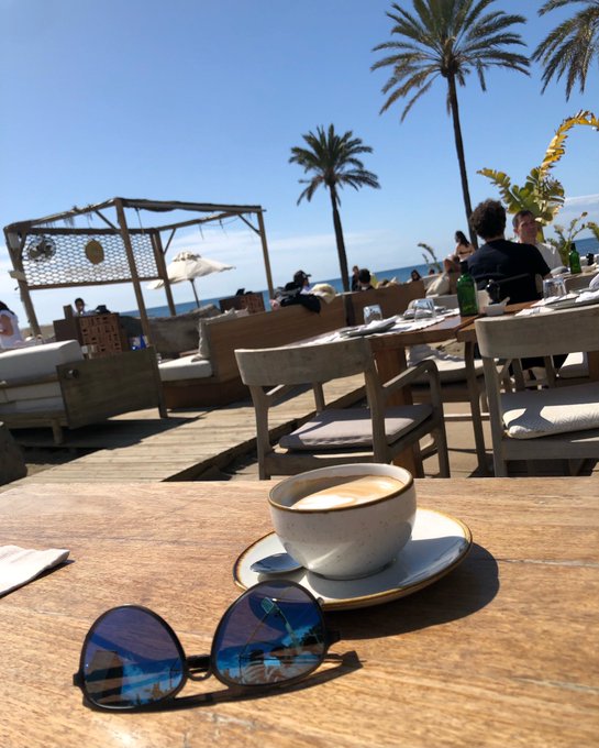 A cup of cappuccino and sunglasses sit on a wooden table at a beachside cafe with palm trees and the ocean in the background.
