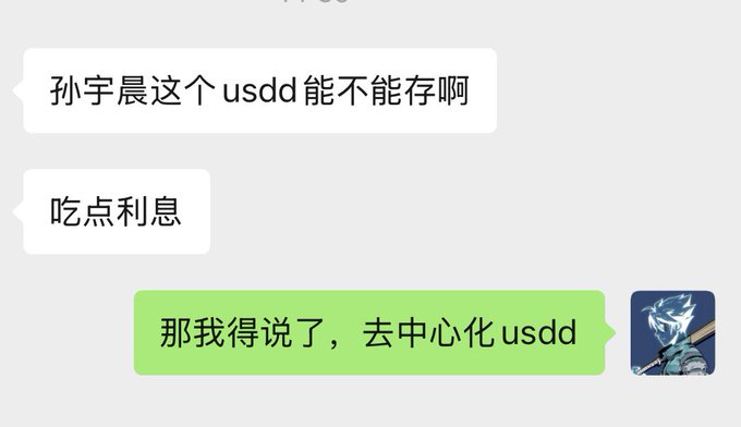 A Chinese-language chat screenshot discussing USDD cryptocurrency, with messages asking "孙宇宇这个usdd能不能存啊" ("Can I store this USDD?"), "吃点利息" ("Earn some interest"), and a reply about decentralized USDD.