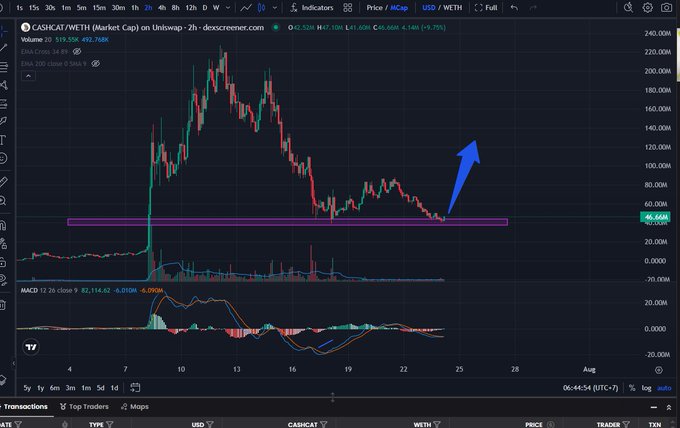 A TradingView chart of CASHCAT/WETH showing a recent price of approximately 46.66M, with a blue arrow indicating a projected upward breakout above the highlighted support zone.