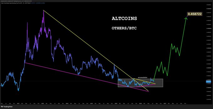 A TradingView chart of "ALTCOINS OTHERS/BTC" shows a long-term descending wedge pattern (outlined in yellow and magenta) that has just broken upward, with a projected target of 0.458722 marked by a green arrow, visually supporting the claim that altcoins are "about to explode soon."