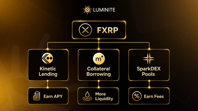 The image displays the Luminite logo at the top, branching into a flowchart that highlights FXRP utilities: Kinetic Lending (earn APY), Collateral Borrowing (more liquidity), and SparkDEX Pools (earn fees), visually reinforcing the post's outline of FXRP's three main use cases on the platform.