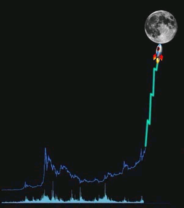The image features a rocket flying through space, with a full moon visible above it. The rocket appears to be shooting off into the sky as if it were launching from an underwater base. The caption of the image reads "Which #memecoin is going straight to the #MOON? #DROVERINU #HYDRACHAIN $CKOM #DOGE $DOGS $CAT $DOG #SHIB #WIF #PEPE #FLOKI Any other?".