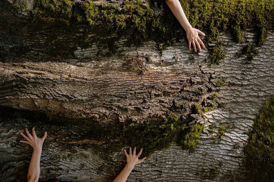 A textured close-up of a moss-covered fallen log with multiple hands and arms reaching up from beneath it, set against a forest floor background.