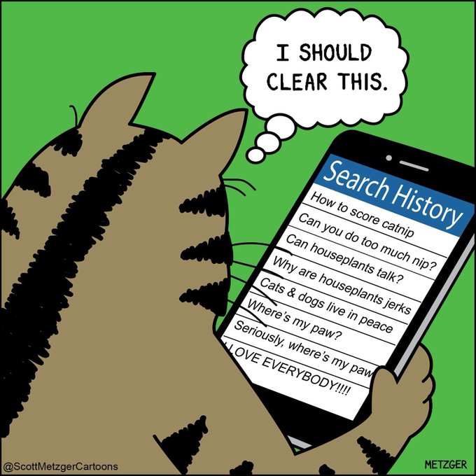 A tabby cat looks at its smartphone search history, which reveals increasingly frantic queries like "How to score catnip," "Can you do too much nip?," "Why are houseplants jerks," and ending with "I LOVE EVERYBODY!!!!" The cat thinks to itself, "I should clear this."