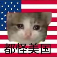 The image features a cat with sad, tear-filled eyes positioned against an American flag backdrop. A caption below the photo reads "大所要有大所的担当 ————", suggesting that the cat seems out of place in its world and might be experiencing difficulties or challenges related to life on Earth.