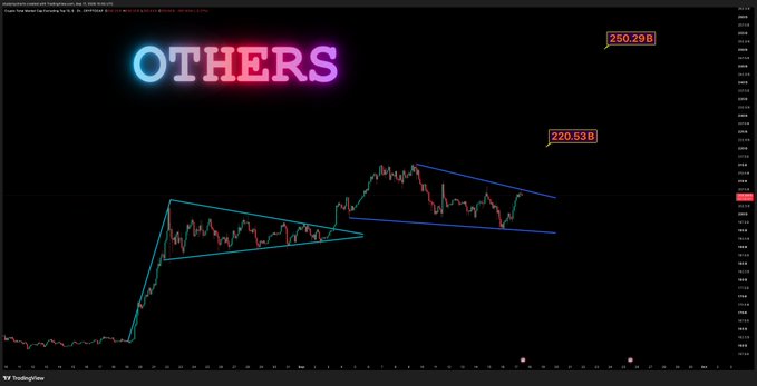 TradingView chart titled 'OTHERS' showing a symmetrical triangle pattern with price levels marked at 220.53B and 250.29B.