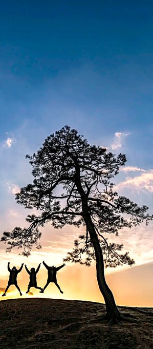 A silhouette photograph of three people jumping joyfully with arms raised beside a tall pine tree at sunset against a gradient sky of orange and blue.