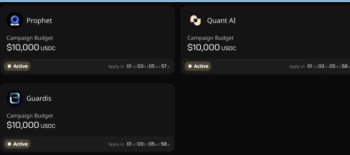 The image shows a horizontal tab that displays three different campaign budgets for apps. The first budget option has $10,000 US Dollars (USDC), the second one is $1,000 US Dollars (USD), and the third one is $5,000 US Dollars (USD). Each of these options offers a different level of access to campaigns on Wallchain. The main focus of this post appears to be discussing which budget option provides better campaign access or evaluating other aspects related to app campaigns and budgets.