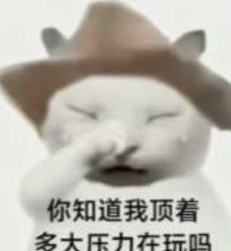 A meme featuring a white cat wearing a cowboy hat with its paw on its forehead, accompanied by Chinese text that reads '你知道我顶着多大压力在玩吗' (Do you know how much pressure I'm under playing this?).