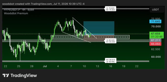 A TradingView chart from woodsbot shows the HYPEUSDT perpetual pair on Bybit (4-hour timeframe) with price hovering near $67.66, marked with a falling trendline breakout and highlighted resistance zones ($67.21–$67.66 and $71.64) consistent with bullish sentiment.