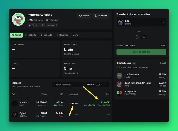 A crypto wallet interface for 'hypernarwhalbio' on Solscan, showing a balance of 0.091139 SOL, a 'brain' token holding worth $7,798.86 with a 100% holding percentage, and created coins including 'The Überlamb' and 'PumpPerps'.