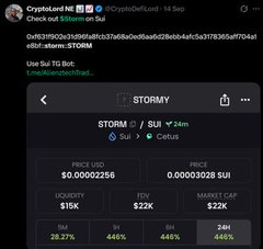 A Twitter post from CryptoLand Ni announcing the listing of $Storm on Sui, displaying tokenomics with a price of $0.00000256, liquidity of $16K, and FDV of $22K.