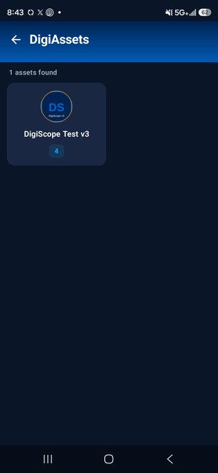 A mobile app screenshot titled 'DigiAssets' showing one asset found, 'DigiScope Test v3', with a blue 'DS' icon.
