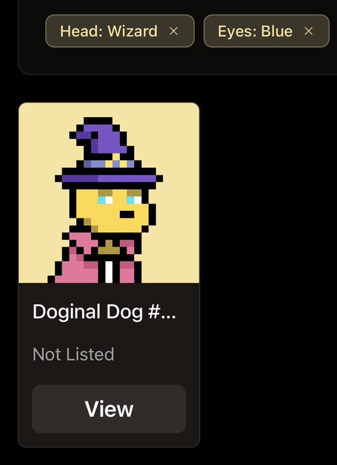 A pixel art wizard character card labeled "Doginal Dog #..." (truncated) appears on a dark background with filter tags reading "Head: Wizard" and "Eyes: Blue" at the top. The card shows a "Not Listed" status with a View button, illustrating the marketplace filtering process for finding 1/1 wizard Doginal Dogs.