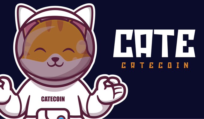 A cartoon mascot of a cheerful orange tabby cat wearing a white hoodie with "CATECOIN" printed on it gives a thumbs-up next to the "CATE / CATECOIN" logo on a dark navy background, reinforcing the post's warning to verify the original Catecoin project on BNB Chain rather than copycats.