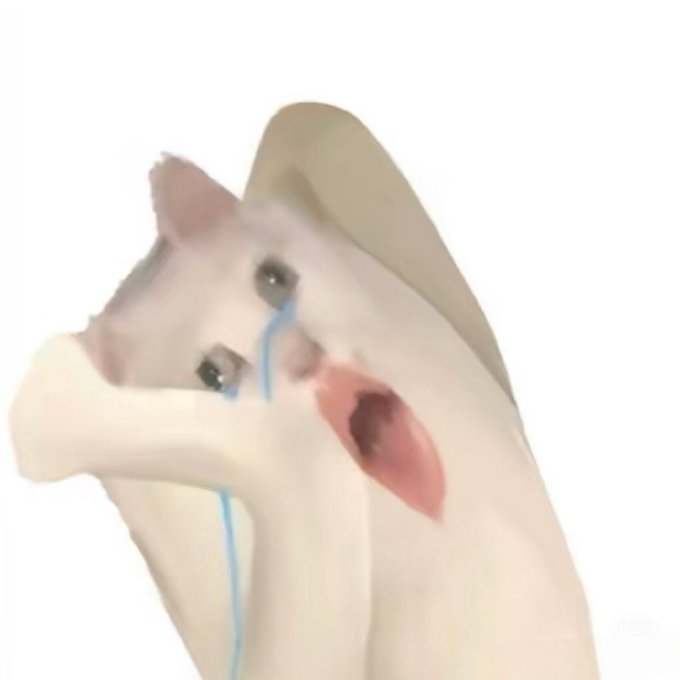 The image features a white cat with its eyes wide open and mouth slightly open, giving it an expression of surprise or shock. The cat's position suggests that it has been caught off guard by something unexpected. The caption above the image reads "Crashing hard Stuck in 7W3 BTC eth99 sol just missed out on US stocks with my front foot, then got trapped in crypto with my back foot Wah wah". This implies that the cat was surprised or shocked by an event and is now experiencing a mix of emotions as it tries to make sense of what has happened.
