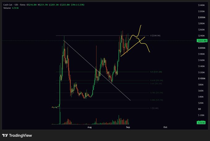 A 12-hour chart of $CASHCAT (Cash Cat) priced at $231.86M, down 3.21%, displays Fibonacci retracement levels alongside a white descending trendline and yellow hand-drawn annotations suggesting a potential breakout or reversal pattern near the $240M resistance. The accompanying "$CASHCAT thoughts - which way?" post reflects uncertainty, as the price sits near the 0% Fib level ($240.59M) with conflicting bullish and bearish technical signals.