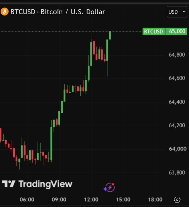 A TradingView candlestick chart for BTCUSD showing Bitcoin's price rising from around 64,000 to 65,000 throughout the day.