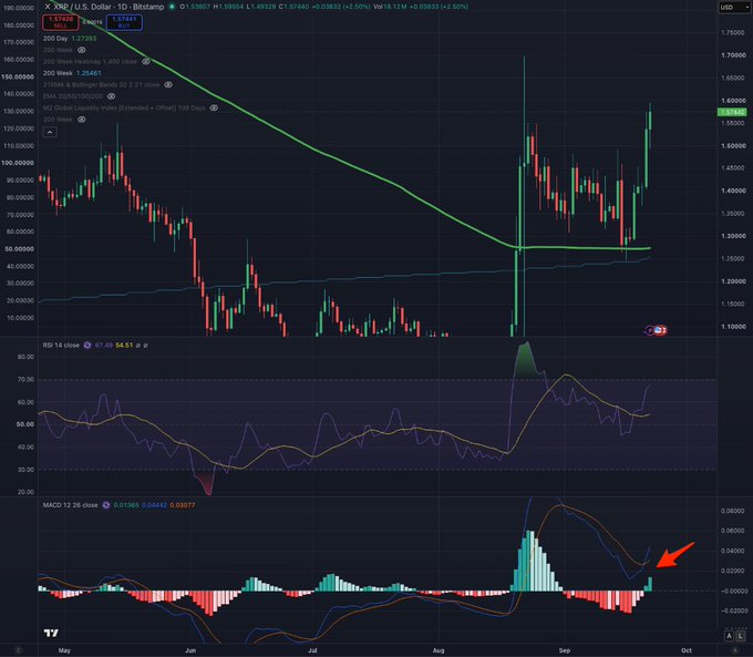 A TradingView candlestick chart of XRP/USD on the 1-day timeframe showing price recovery to ~$1.59 with the 200-week moving average (1.57353) and 200-day moving average (1.35441) marked as long-term support, accompanied by RSI and MACD indicators below—where the MACD histogram (highlighted by a red arrow) shows bullish momentum building, supporting the post's claim that bulls are in control.