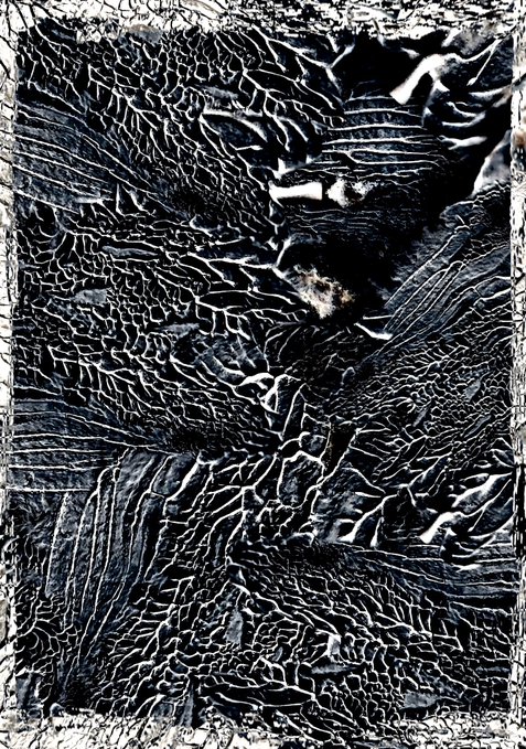 A heavily textured, abstract black and white image resembling cracked surfaces or topographical patterns with a single small lighter spot near the center.