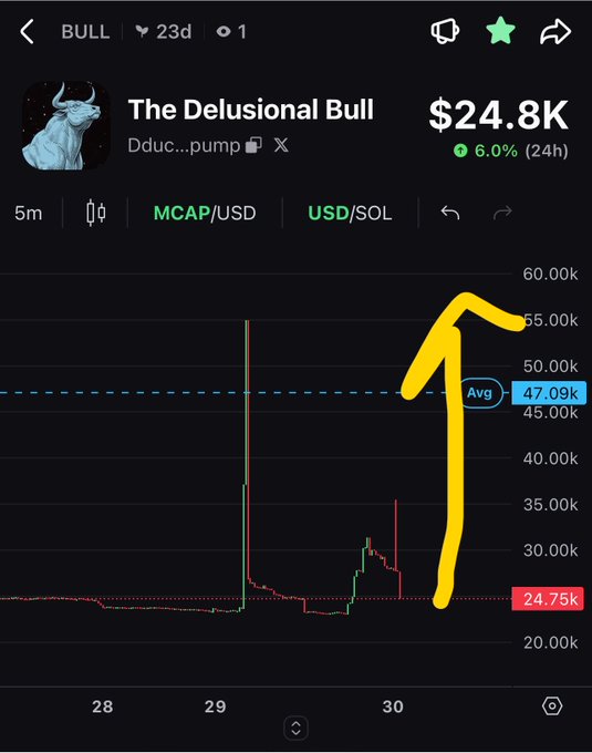 A cryptocurrency price chart from DexScreener shows 'The Delusional Bull' token (ticker 'BULL', 23 days old) with a market cap of $24.8K (+6.0% in 24h), featuring a yellow hand-drawn arrow highlighting a recent price spike.