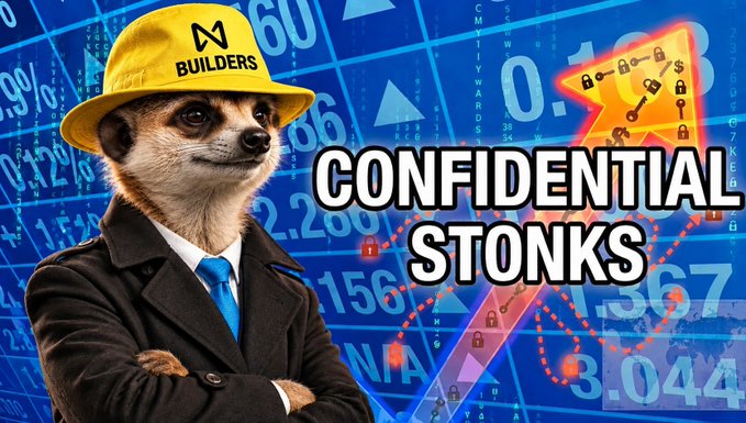 A meme featuring a meerkat wearing a yellow 'BUILDERS' hard hat and a black suit with blue tie, with the text 'CONFIDENTIAL STONKS' overlaid on a background of stock charts and an upward arrow.
