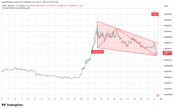 A TradingView chart of PEPE/USDT showing a "Falling Wedge" pattern with a target price marked, shared by "srigopalbhastad" on August 31, 2025.