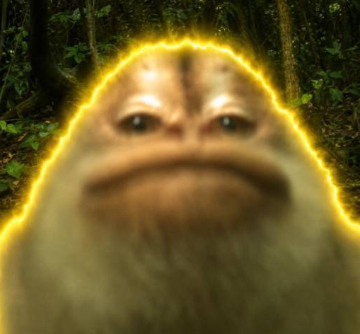 A close-up of a frog-like meme face with a glowing yellow aura set against a dark forest background.
