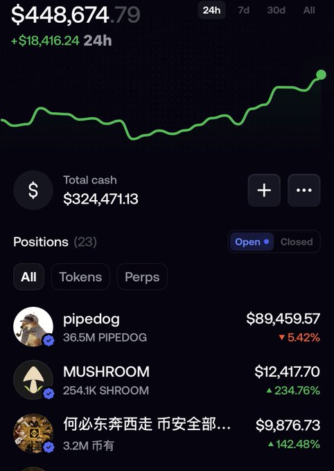 A mobile portfolio app showing a total value of $448,674.79 with a +$18,416.24 24h gain, total cash of $324,471.13, and positions including pipedog, MUSHROOM, and a Chinese-named token.