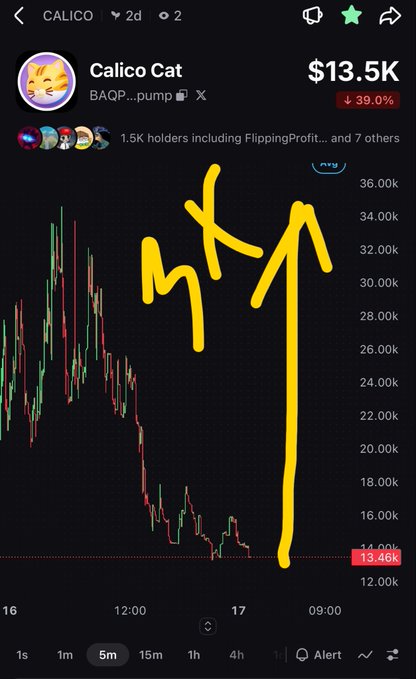 A crypto trading chart for 'Calico Cat' (BAQP.pump) on a mobile app, showing a price of $13.5K down 39.0%, with a large yellow hand-drawn arrow and lines overlaid on the chart.