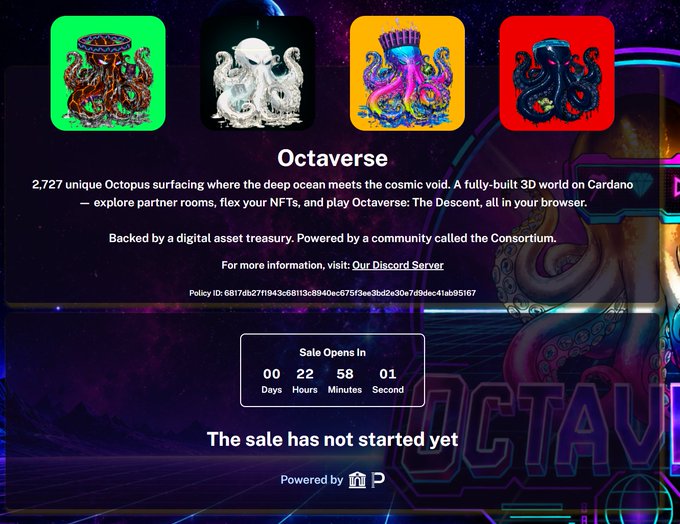 A promotional webpage for the Octaverse NFT project, describing a 3D world on Cardano with 2,727 unique Octopi, featuring four octopus NFT artwork previews, a Discord server link, a policy ID, and a countdown timer indicating the sale has not started yet.