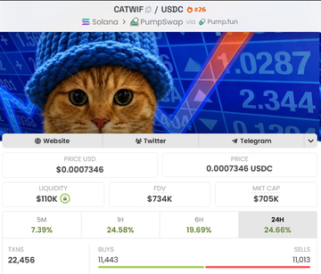 The image shows a trading dashboard for the CATWIF/USDC token on Solana via PumpSwap, displaying a price of $0.0007346 with a 24.86% gain, $734K 1D volume, and $705K market cap, alongside a meme image of a cat wearing a blue beanie. This visually supports the post's claim about CATWIF's recent pump, highlighting the 2X/4X price surge and strong trading activity that the author attributes to ANSEM-driven momentum similar to the earlier WIF rally.