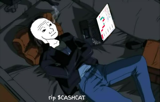 A Wojak character lies sprawled on a couch staring at a laptop displaying a crashing red chart, with the text "rip $CASHCAT" below—capturing the despair of holders who missed selling at a 1000x profit.
