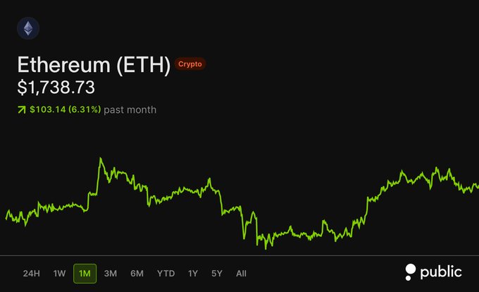 A Public app chart displays Ethereum (ETH) priced at $1,738.73, showing a 1-month gain of $103.14 (+6.31%) in bright green, contrasting with the accompanying post's reminder that despite this monthly uptick, ETH remains down 42% year-to-date. The visible chart trend illustrates the volatile recovery within the month, yet the underlying concern raised in the caption—about Ethereum's significant YTD losses—sets the tone for questioning what might reverse its longer-term decline.