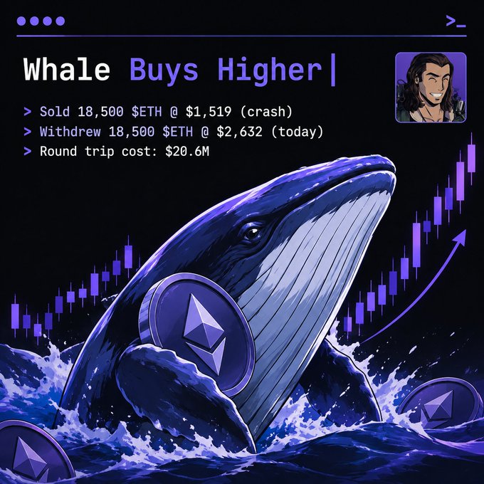 A stylized crypto-themed graphic titled "Whale Buys Higher" depicting a whale holding an Ethereum coin amid rising purple candles, noting "Sold 18,500 $ETH @ $1,519 (crash)" and "Withdrew 18,500 $ETH @ $2,632 (today)" with a "Round trip cost: $20.6M."
