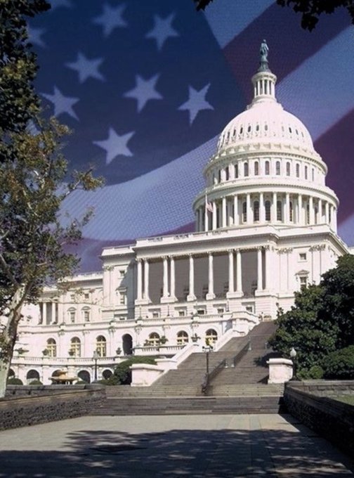 The United States Capitol Building with an American flag overlay.